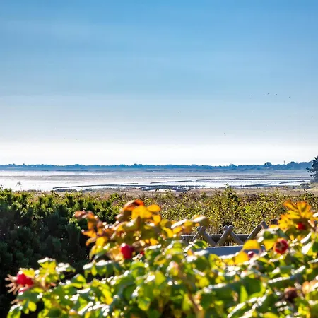 Soenshoern 16 Dikjendeel